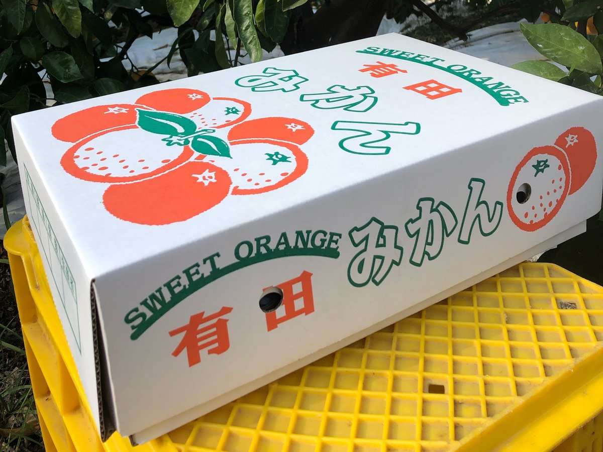 冬ギフト】Mｻｲｽﾞ5kg 有田みかん【熨斗付き】 | 紀州伊藤園