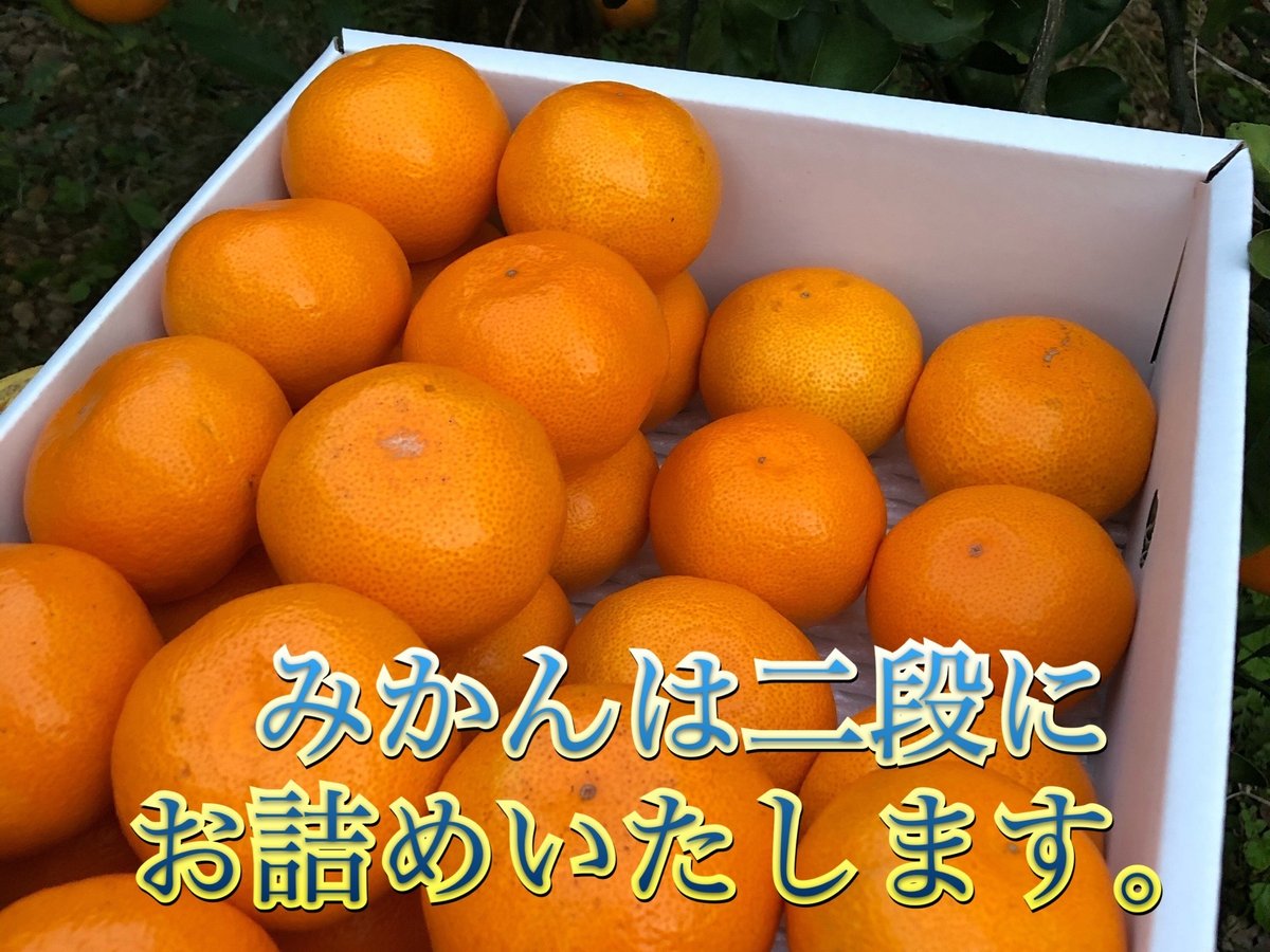 有田みかんサイズ混合 | おいしく食べて和歌山モール
