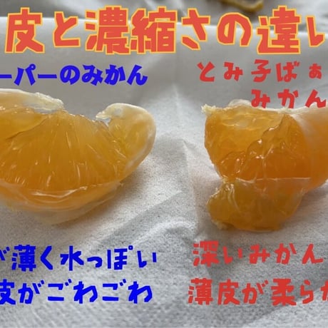 柑橘の女王！完熟春みかん「なつみ」1㎏