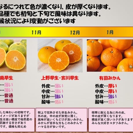 【S~Mサイズ５kg】中生（なかて）みかん