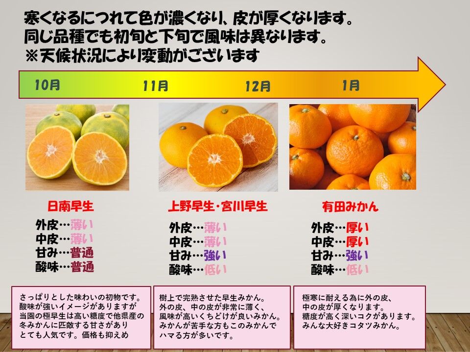 S~Mサイズ5kg】中生（なかて）みかん | 紀州伊藤園