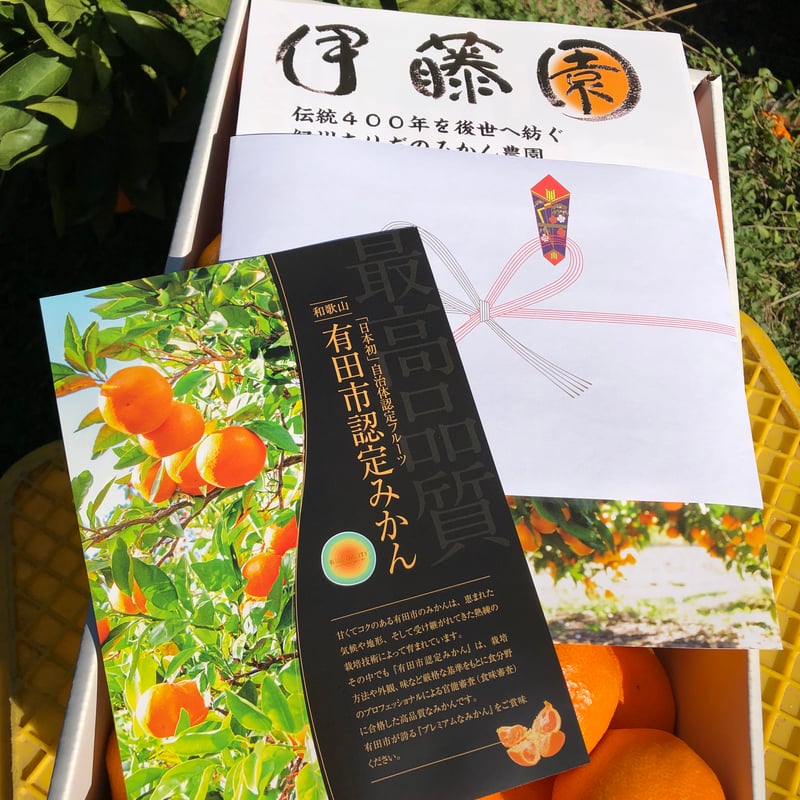 冬ギフト】Mｻｲｽﾞ5kg 有田みかん【熨斗付き】 | 紀州伊藤園
