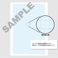 Rainbow Graph Paper 虹色方眼紙：横縞と縦縞 （D-0211-2）［データダ