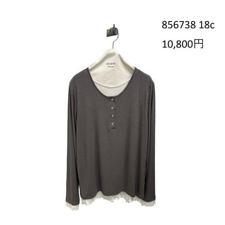 856738  ベア天ヘンリーネックロンT