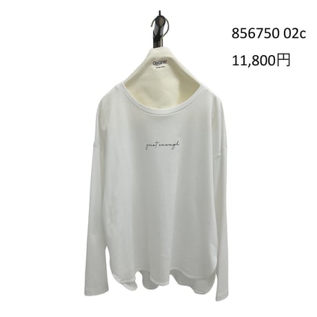 856750  シルケットロゴロンT