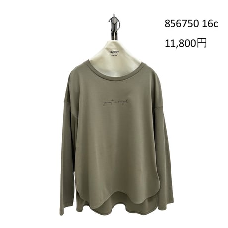 856750  シルケットロゴロンT