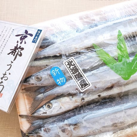 北海道産 塩サンマ 10尾セット