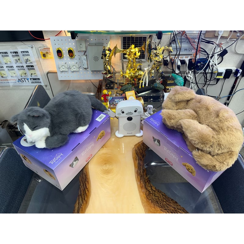 リピート　くま五朗様トニック5リットル 1個 9月18日（木）より「THE DOG」がラウンドワン限定プライズマスコットで