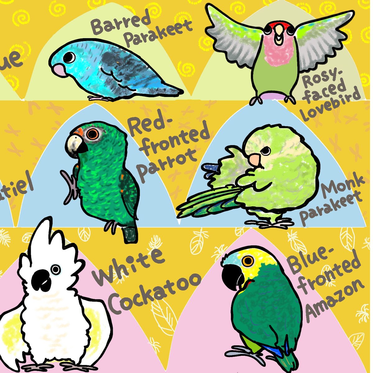 インコのピーちゃん様オーダー　播州織　タオルサイズ インコのピーちゃん様オーダー 播州織 タオルサイズ
