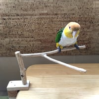 とりさん用　どこでもスタンド　ミニ　➁