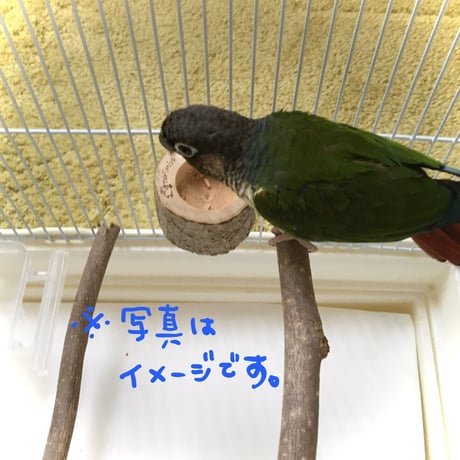 とりさんのいちょうでできた小さいごはん入れ 　4
