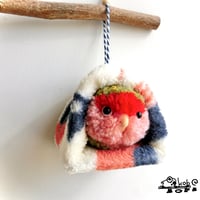 もけもけコザクラインコさんinバードベッド