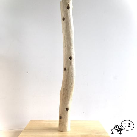 バードツリーt-2