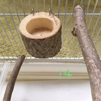 とりさんのいちょうでできた小さいごはん入れ 　14
