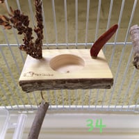 とりさんのいちょうでできた小さいごはん入れ 　34