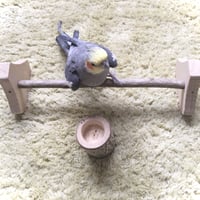 カッタンカッタン床でも止まり木（L）＆ごはん入れセット