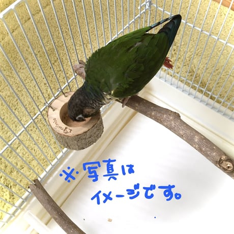 とりさんのいちょうでできた小さいごはん入れ 　12