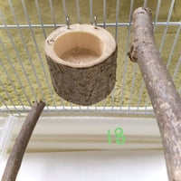 とりさんのいちょうでできた小さいごはん入れ 　18