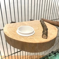 とりさん用　まったりステージS-1