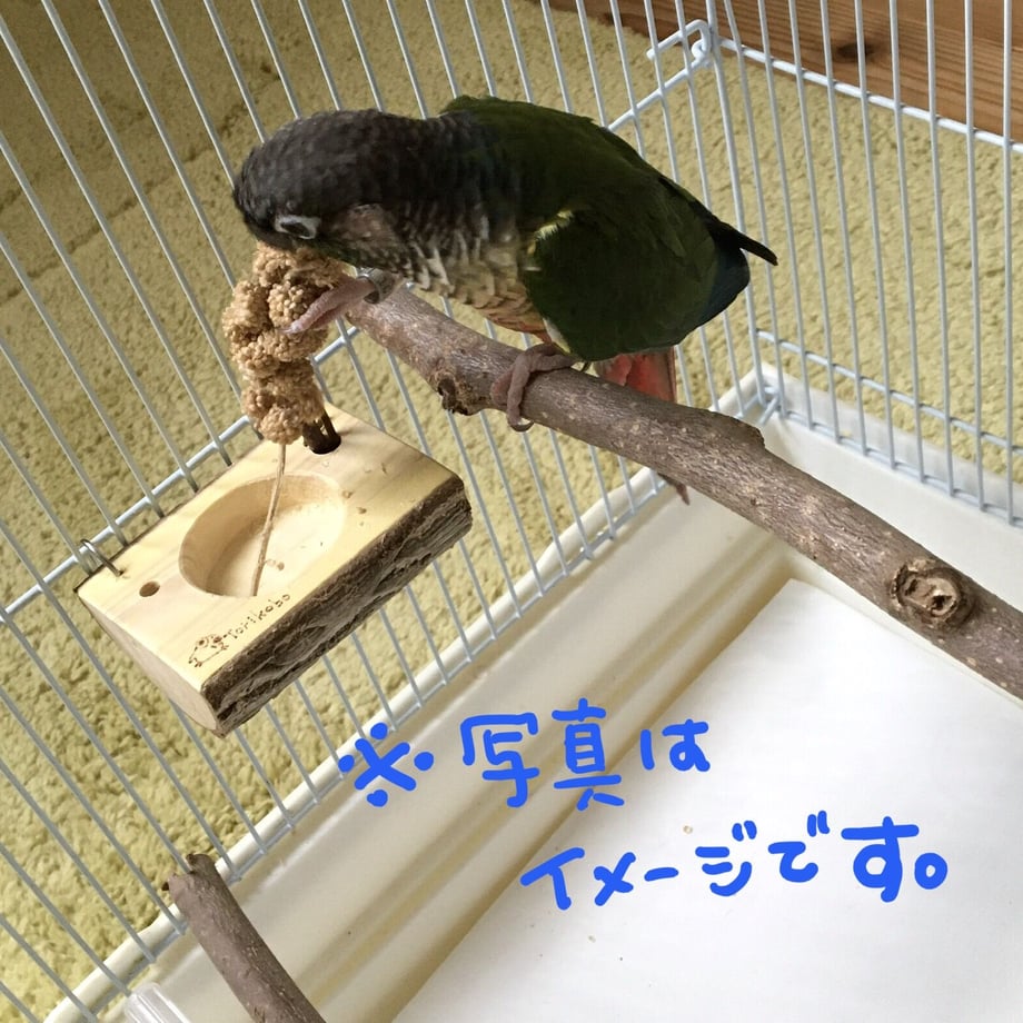 63144797a74e33343a3293c1