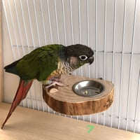 とりさんのまったりステージ ⑦