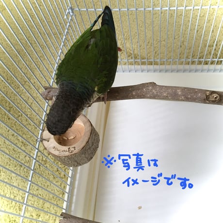 とりさんのいちょうでできた小さいごはん入れ 　16