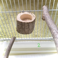とりさんのいちょうでできた小さいごはん入れ 　2