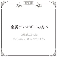 金属アレルギーの方へ(ピアスについて)