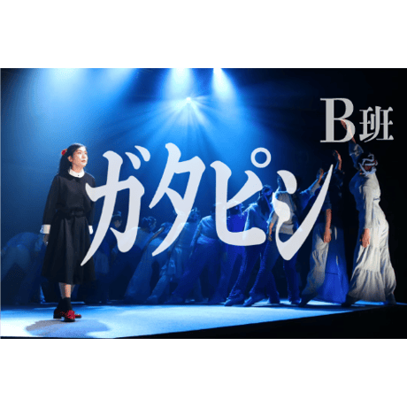 配信祭🏮🏮🏮少々おトクな【５本セット】
