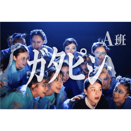 配信祭🏮🏮🏮少々おトクな【５本セット】