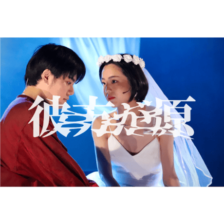 配信祭🏮🏮🏮少々おトクな【５本セット】
