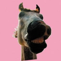 予約受付中（国内2LP / NEW）THE HIGH-LOWS ハイロウズ / Do!! The★MUSTANG