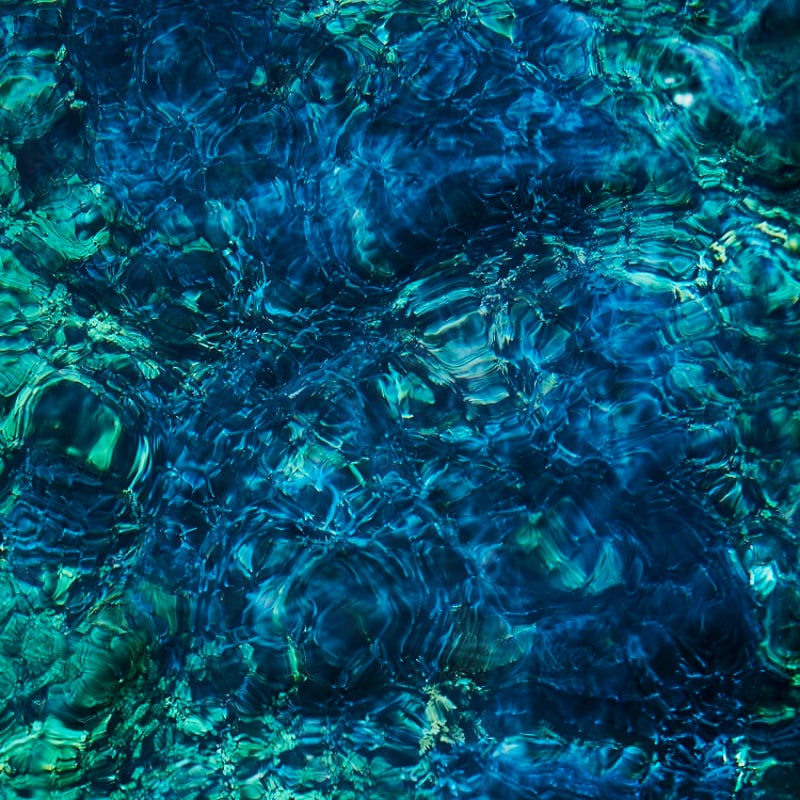 青葉市子 Luminescent Creatures 初回限定盤LP 国内LP / NEW / 通常盤）青葉市子 / Luminescent Creatures
