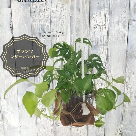 プランツ レザーハンガー　観葉植物