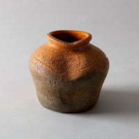 蹲花入