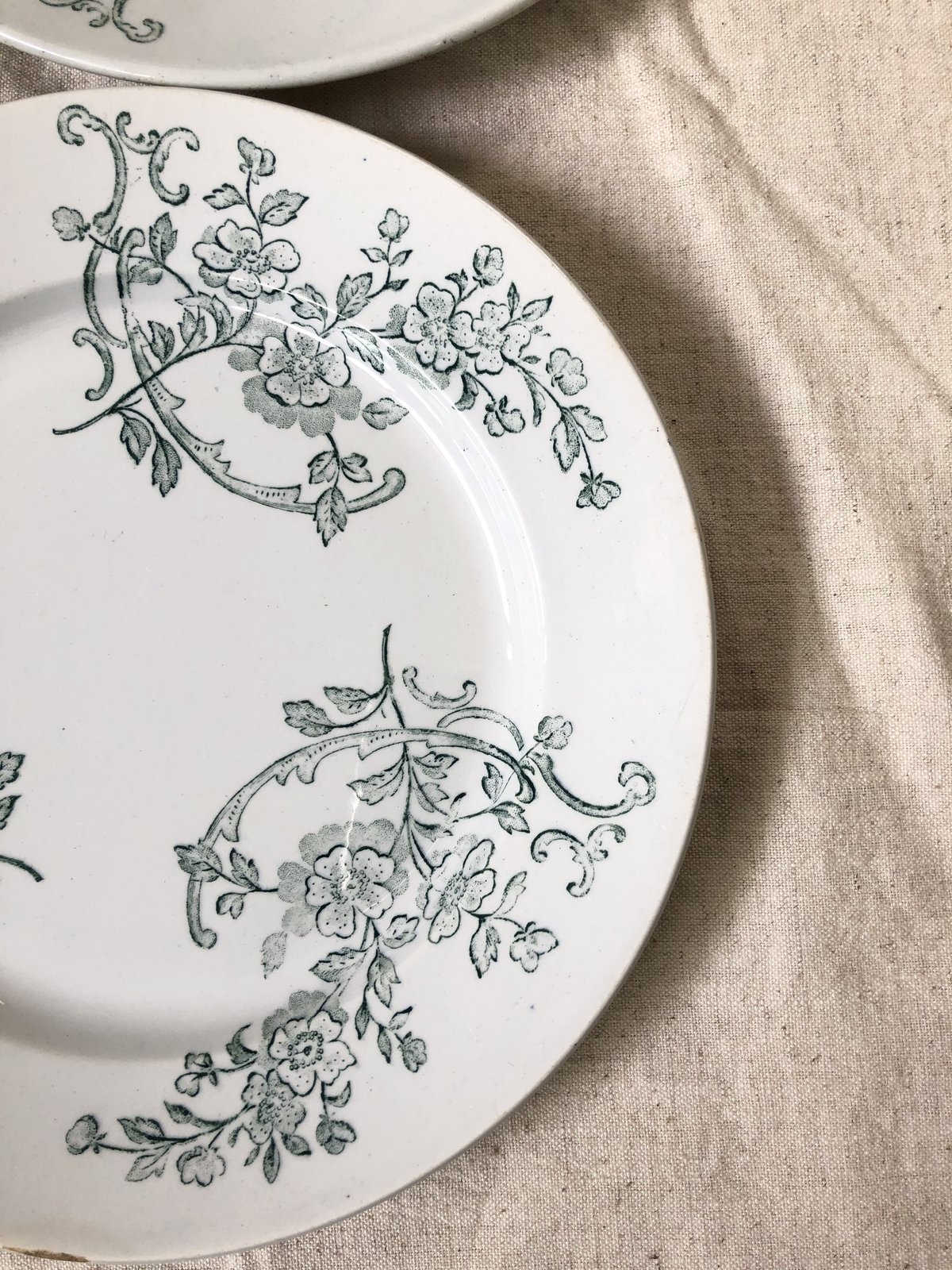 2枚set ペクソンヌ PEXONNE 平皿 プレート フランス 2枚set ペクソンヌ