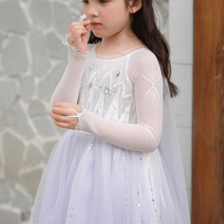 [予約] Frozen Ice Princess Dress (2 color)