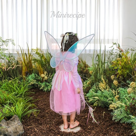 [予約] Fairy Wings/ Mini Recipe
