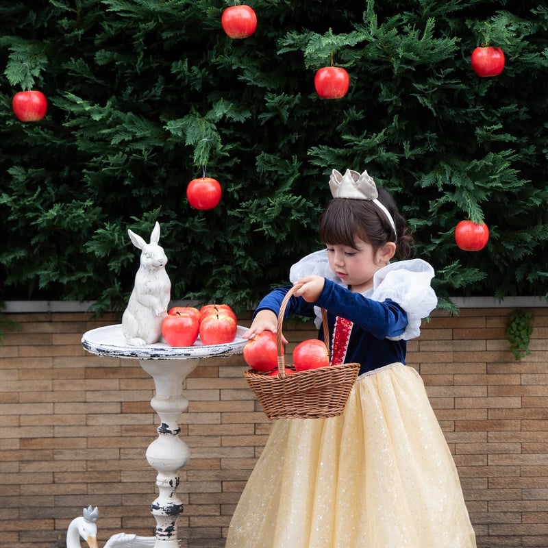 予約】princess snow white dress | Mimiel