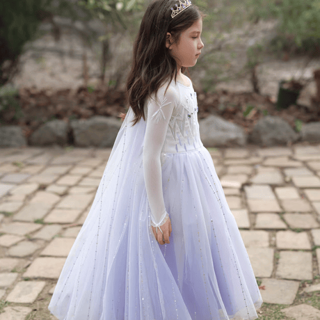 [予約] Frozen Ice Princess Dress (2 color)
