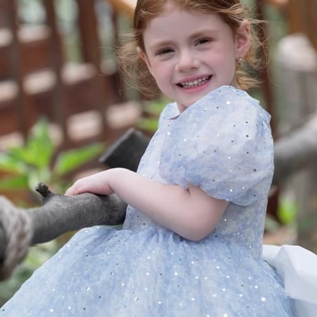 [予約] Blue Moon Fairy Dress