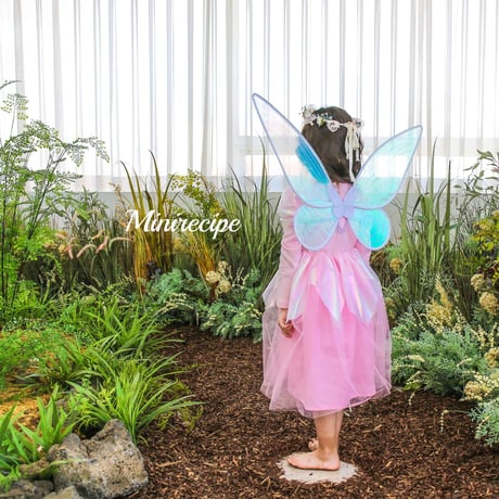 [予約] Fairy Wings/ Mini Recipe