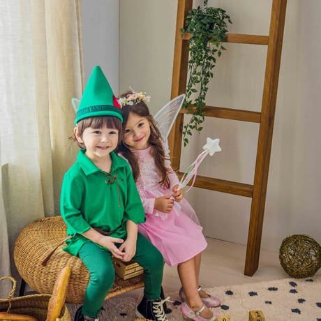 [予約] Fairy Magic Stick/ Mini Recipe