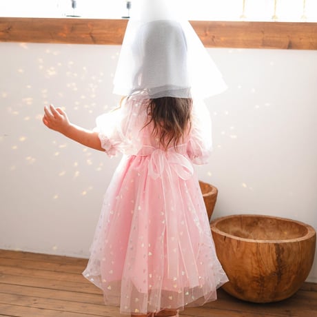 [予約] Birthday Fairy Dress/ Mini Recipe