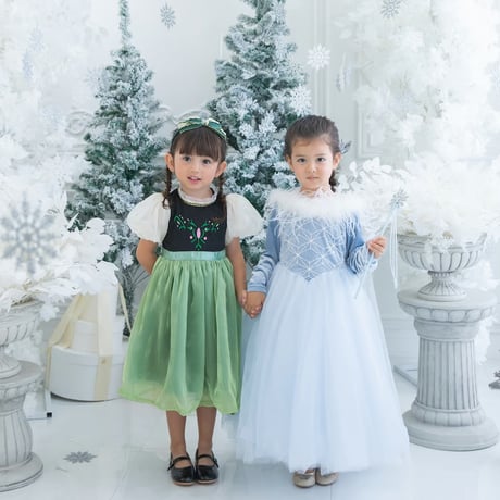 [予約]  princess nordic green dress