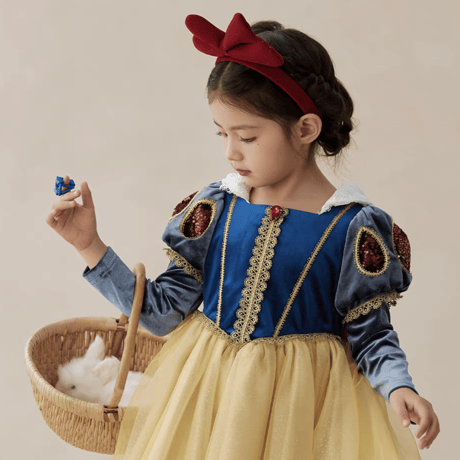 [予約] Snow White hairband