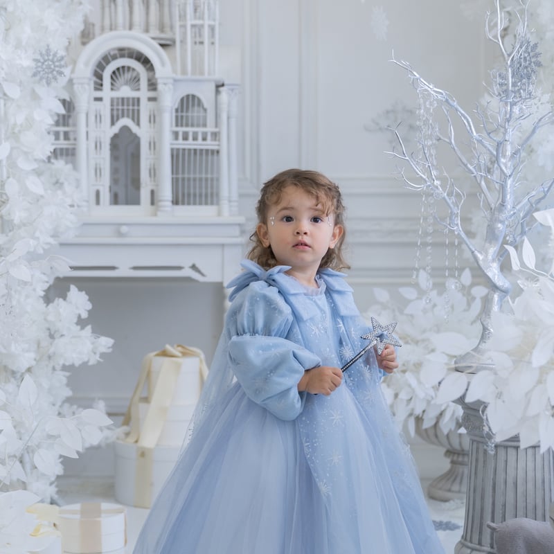 予約】 empire queen shining winter dress | Mimiel