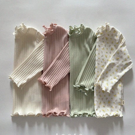 [即納] Camellia T / Aosta  （　Mint XL　＿のみ）