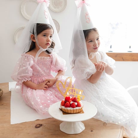 [予約] Birthday Fairy Dress/ Mini Recipe