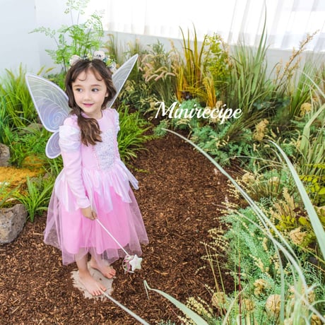 [予約] Fairy Wings/ Mini Recipe